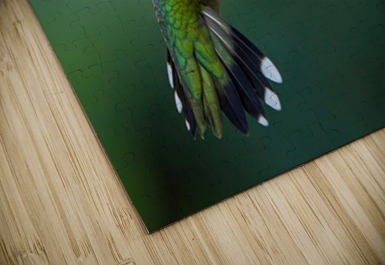 Hummingbird 5 Ilana Vargulich Puzzle