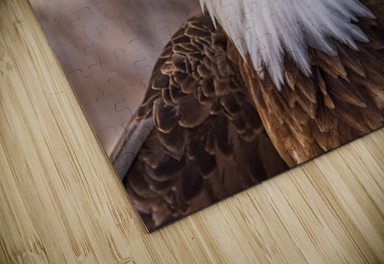 Bald Eagle Portrait Ilana Vargulich Puzzle