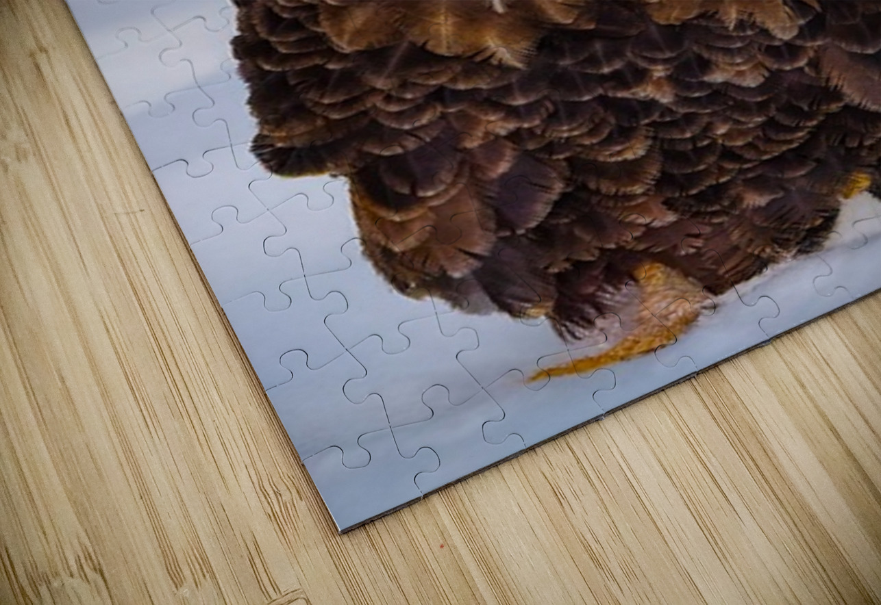 Bald Eagle Winter Ilana Vargulich Puzzle