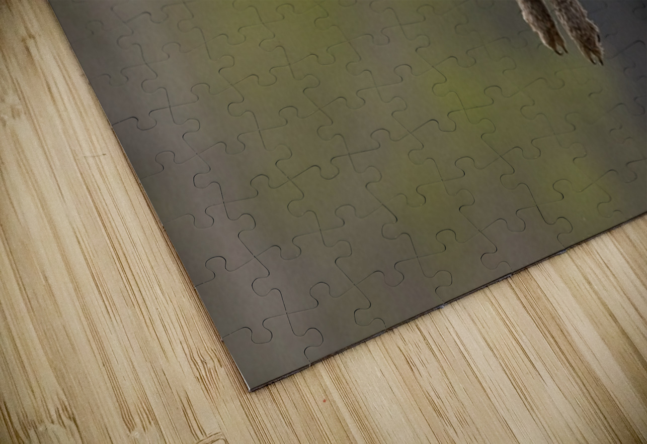 GGO 9 Ilana Vargulich Puzzle