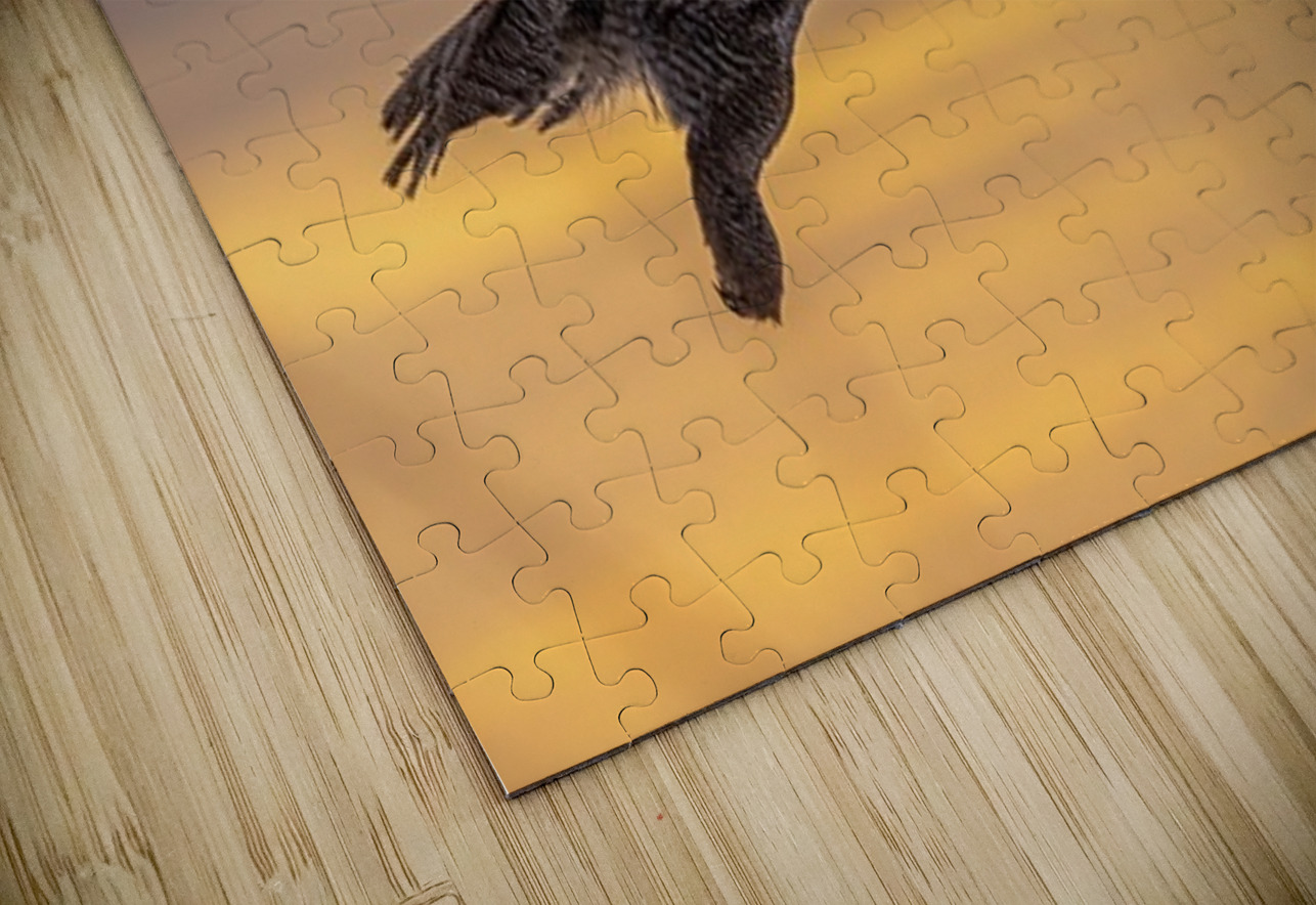 GGO 10 Ilana Vargulich Puzzle