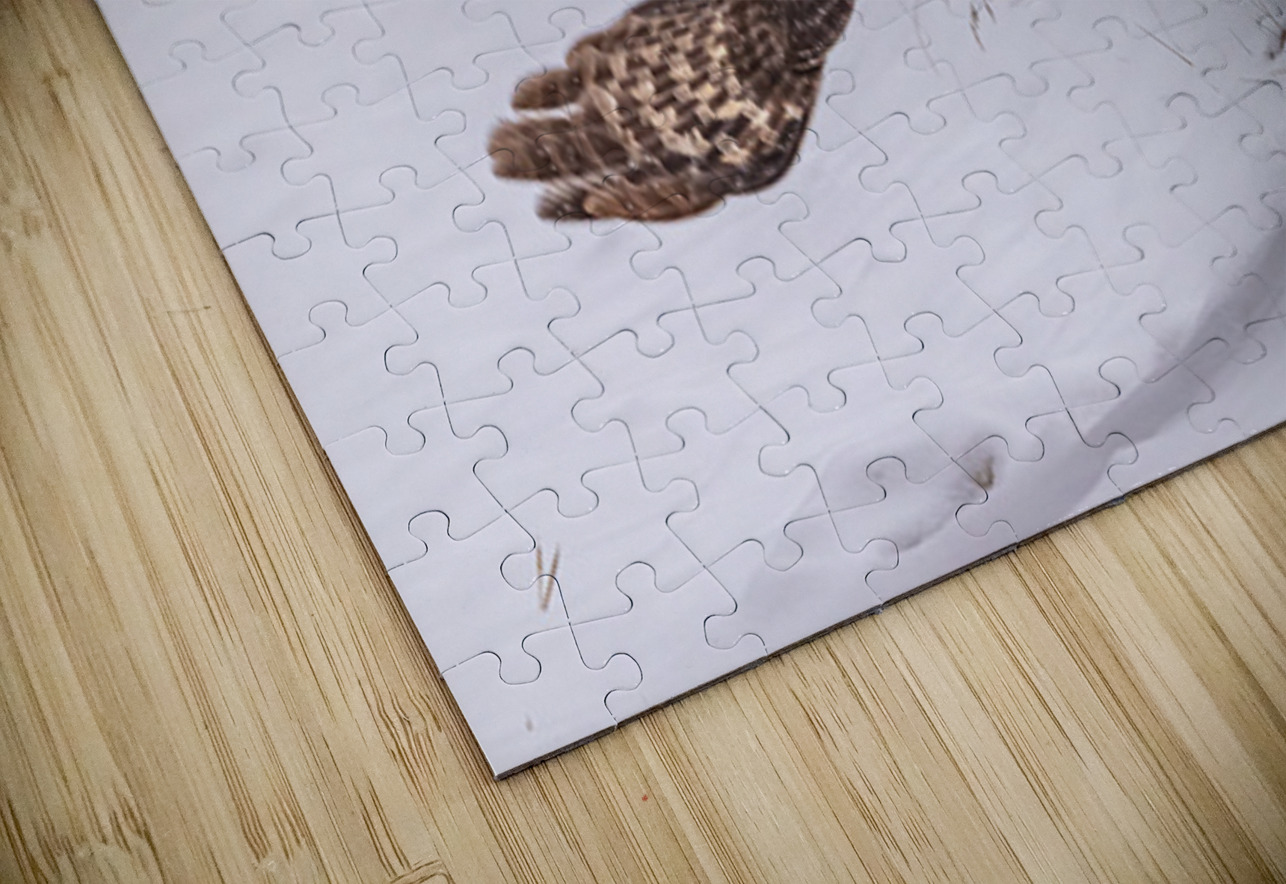 GGO 12 Ilana Vargulich Puzzle