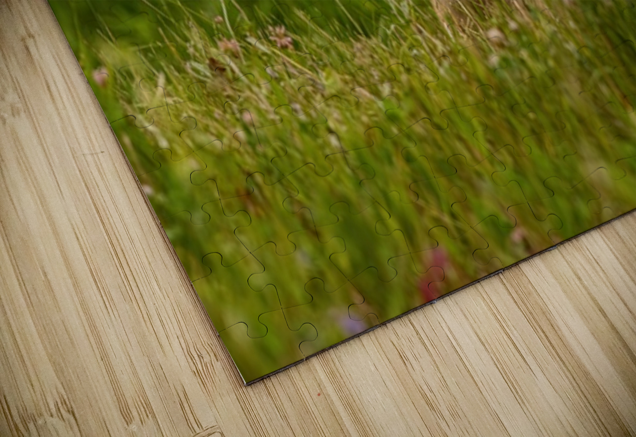 Wolf Pup Ilana Vargulich Puzzle