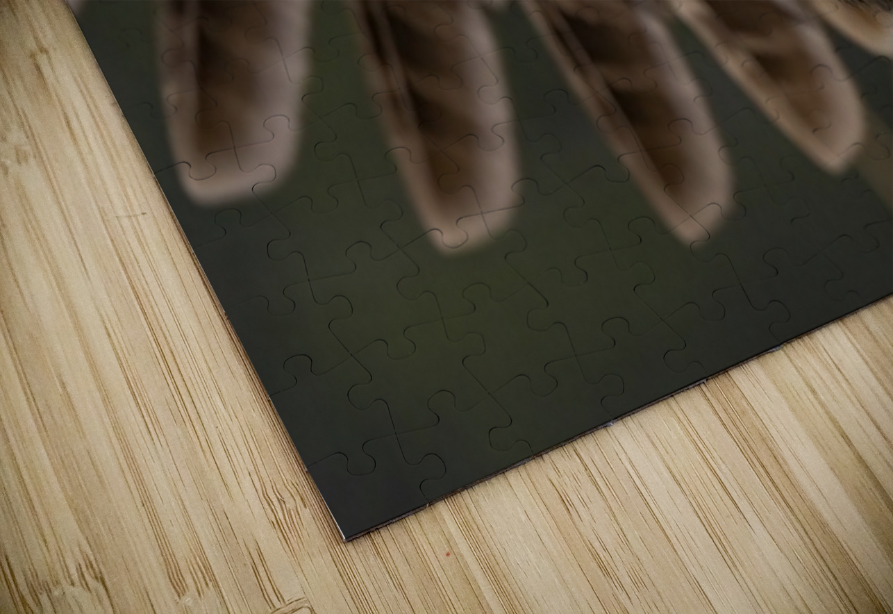 GGO 13 Ilana Vargulich Puzzle