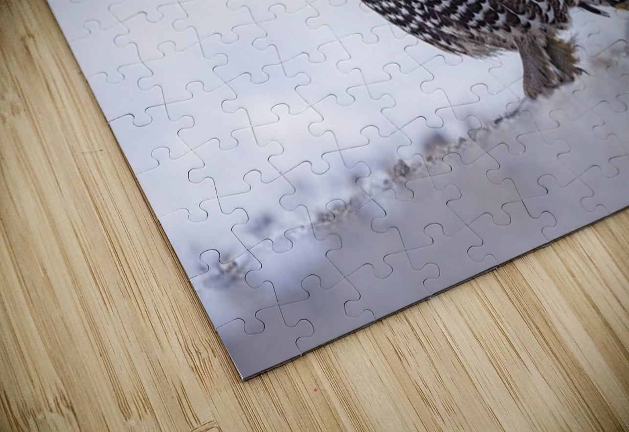 Spruce Grouse Ilana Vargulich Puzzle