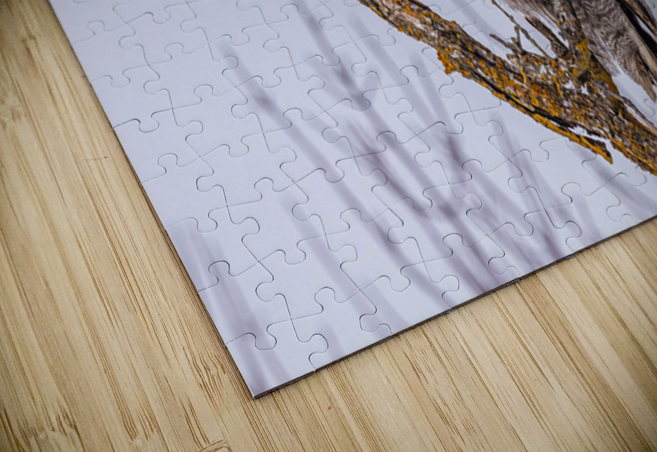 GGO 14 Ilana Vargulich Puzzle