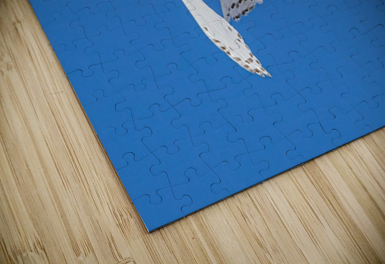 Snowy Owl Ilana Vargulich Puzzle