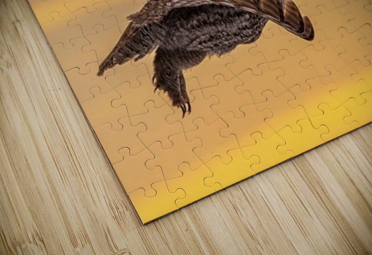 GGO 15 Ilana Vargulich Puzzle