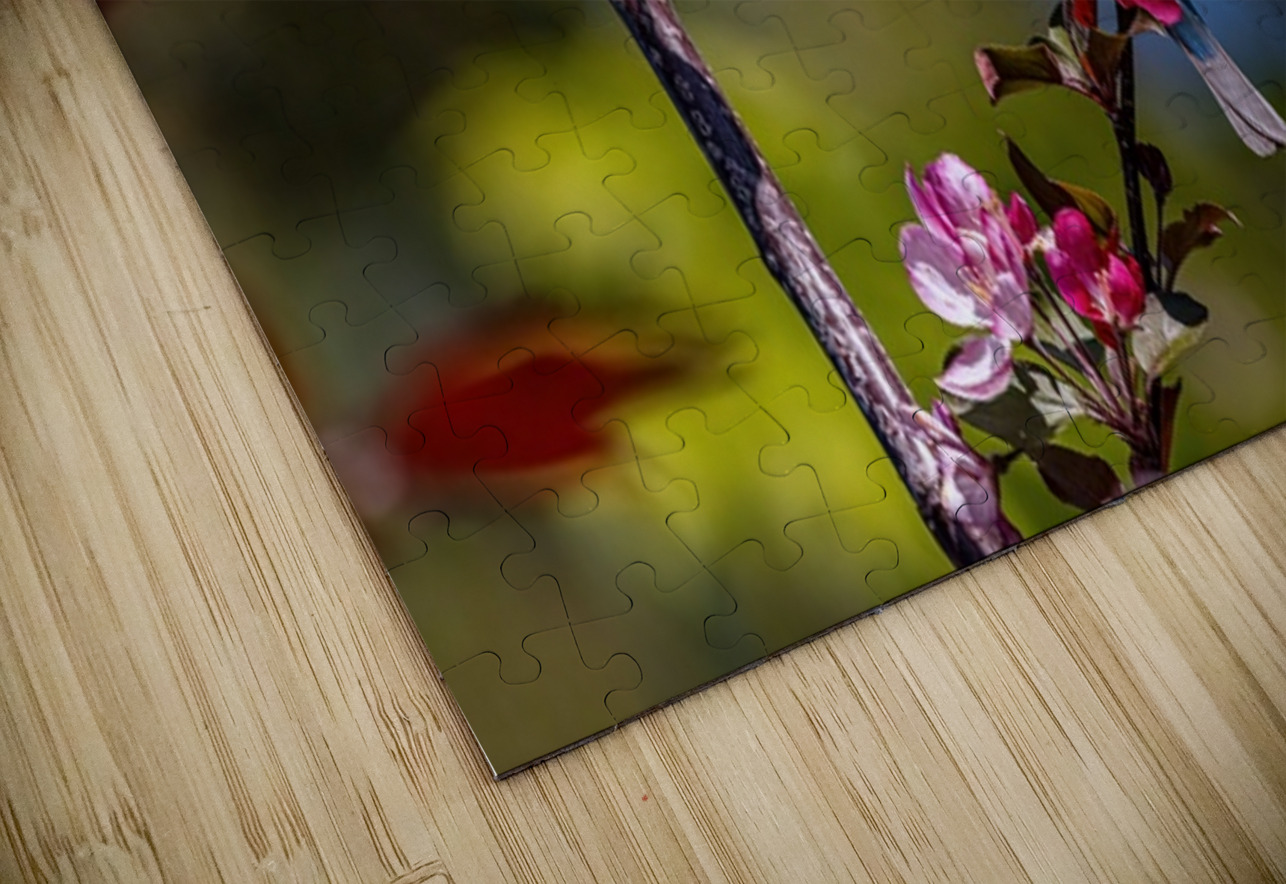 Indigo Ilana Vargulich Puzzle