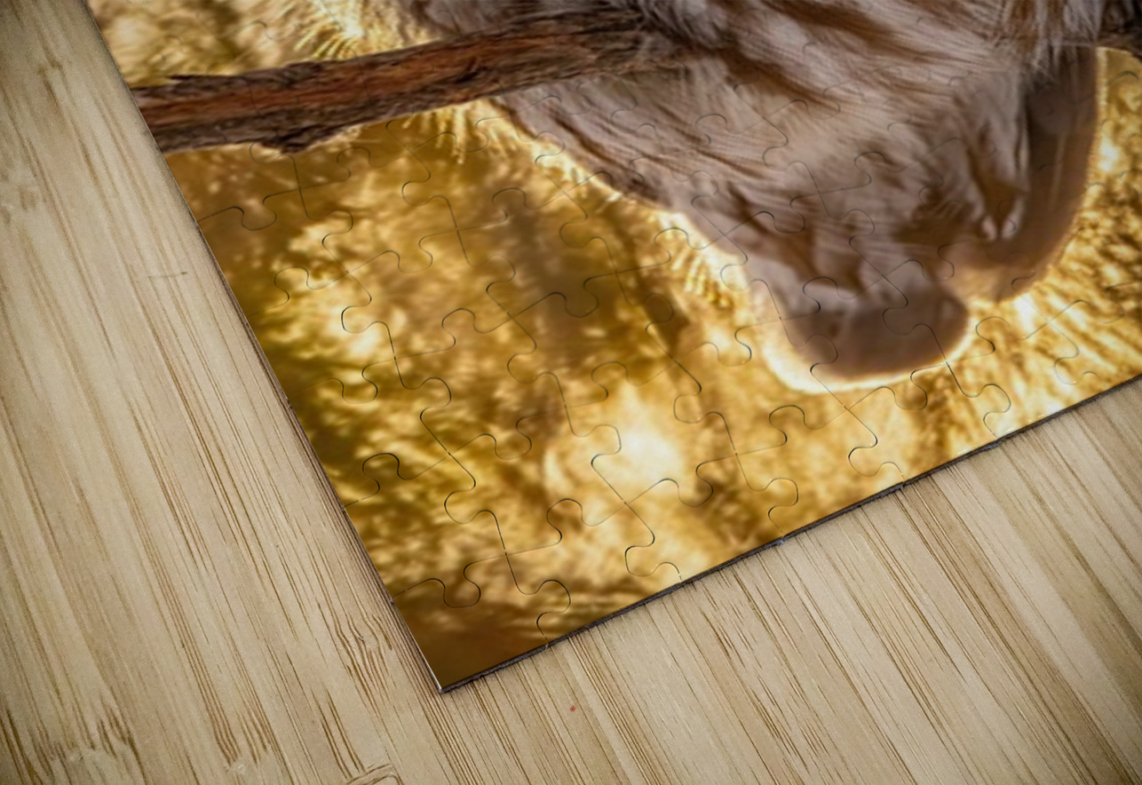 Boreal Owl Ilana Vargulich Puzzle