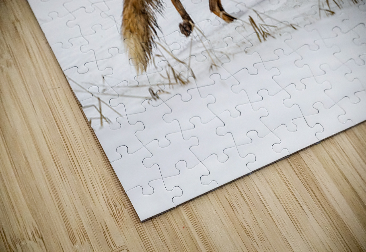 Baby Fox Story Ilana Vargulich Puzzle