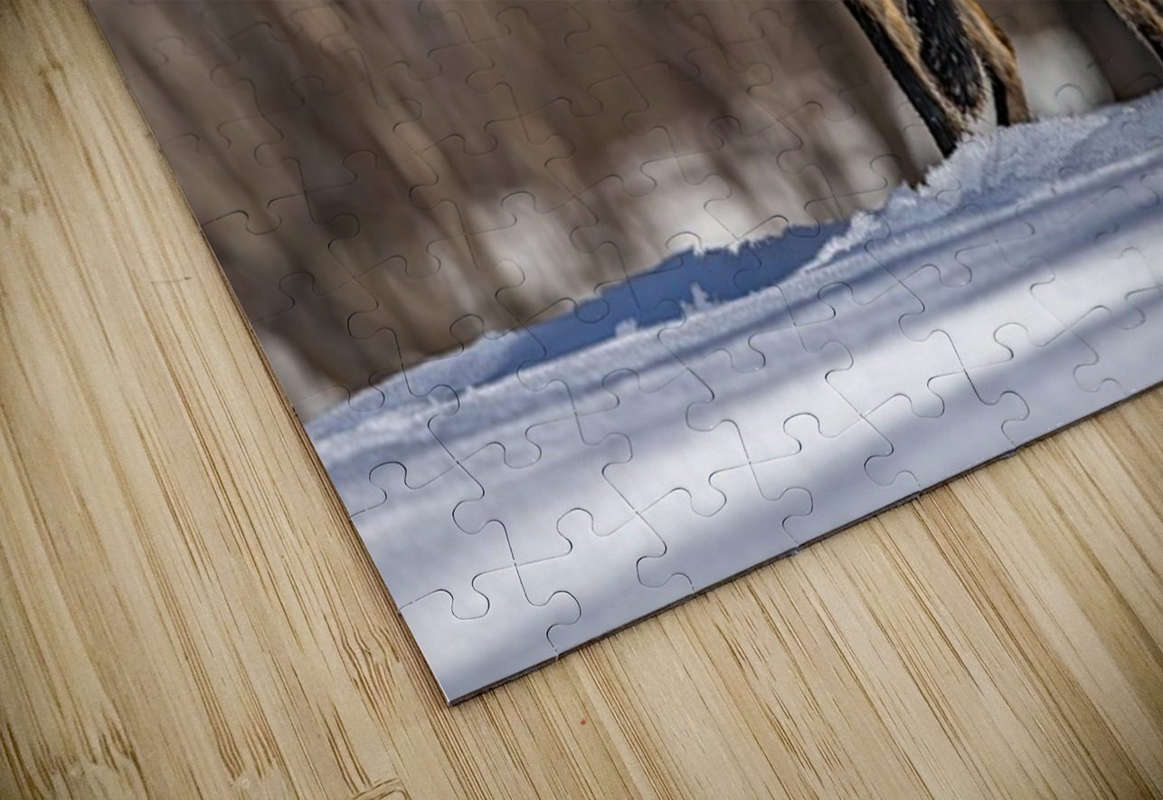 Red Fox Mother Ilana Vargulich Puzzle