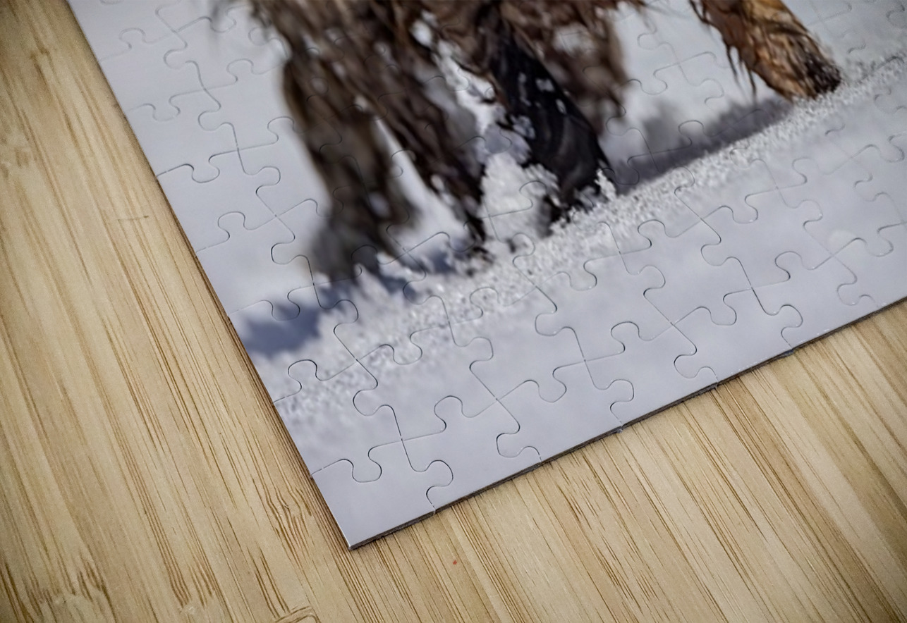 Braveheart Ilana Vargulich Puzzle