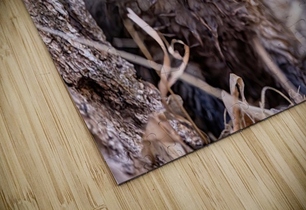 Braveheart 2 Ilana Vargulich Puzzle