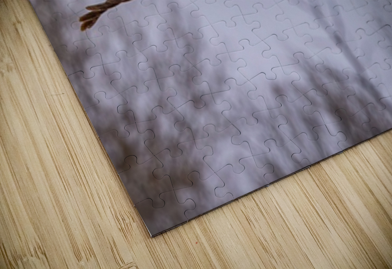 GGO 16 Ilana Vargulich Puzzle