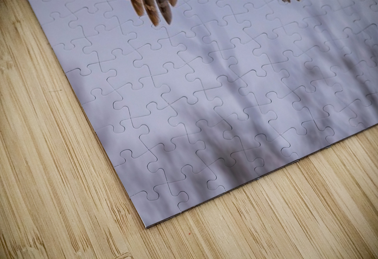 GGO 17 Ilana Vargulich Puzzle