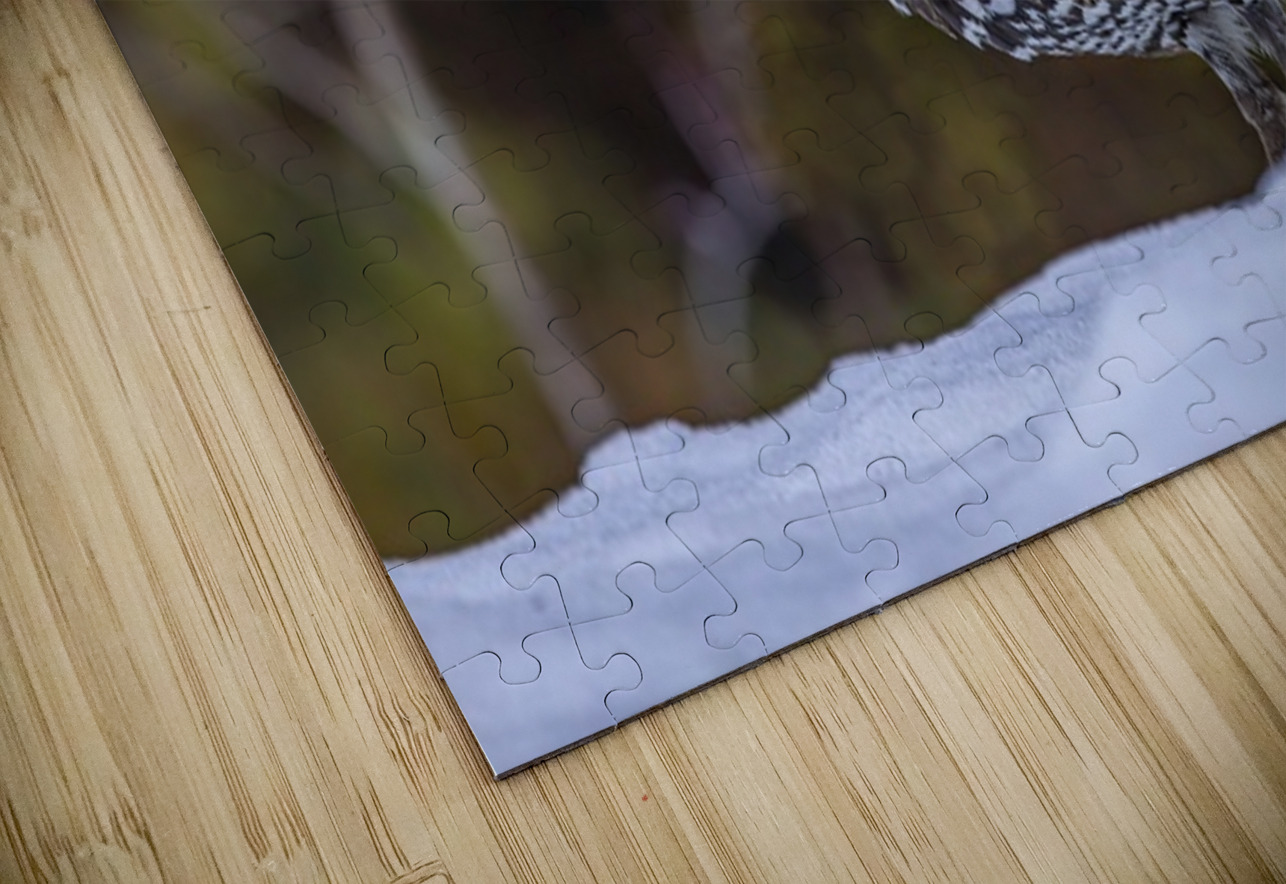 Spruce Grouse 2 Ilana Vargulich Puzzle