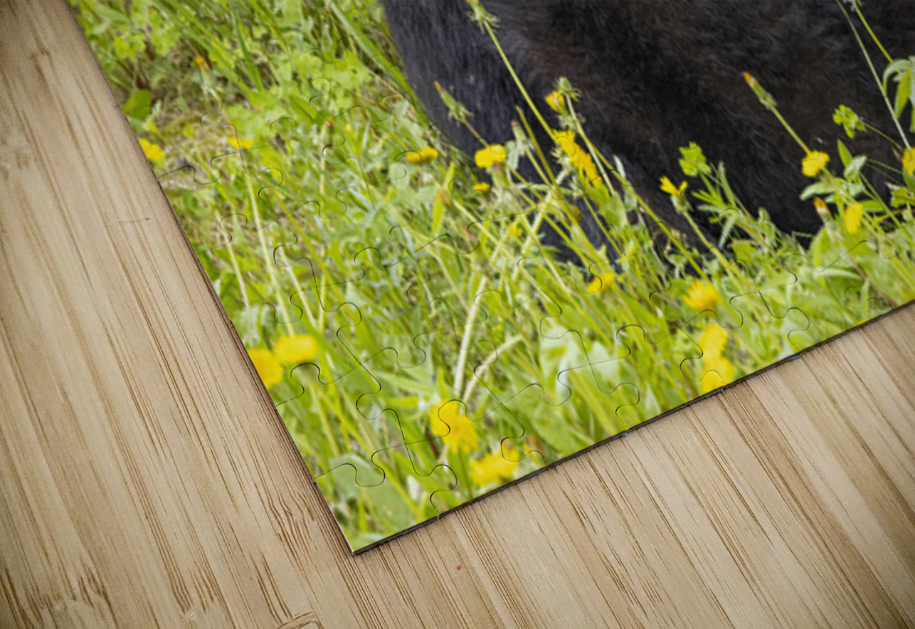 Black Bear Relax  Ilana Vargulich Puzzle