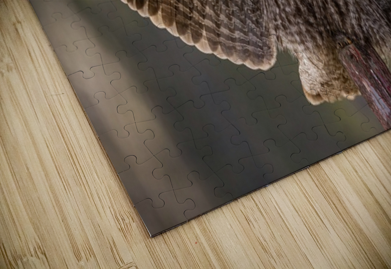 GGO 18 Ilana Vargulich Puzzle