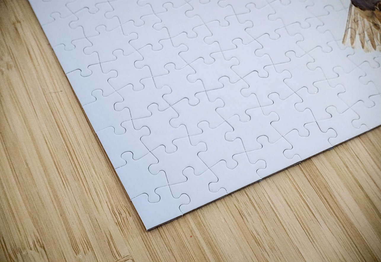 Bald Eagle Ilana Vargulich Puzzle