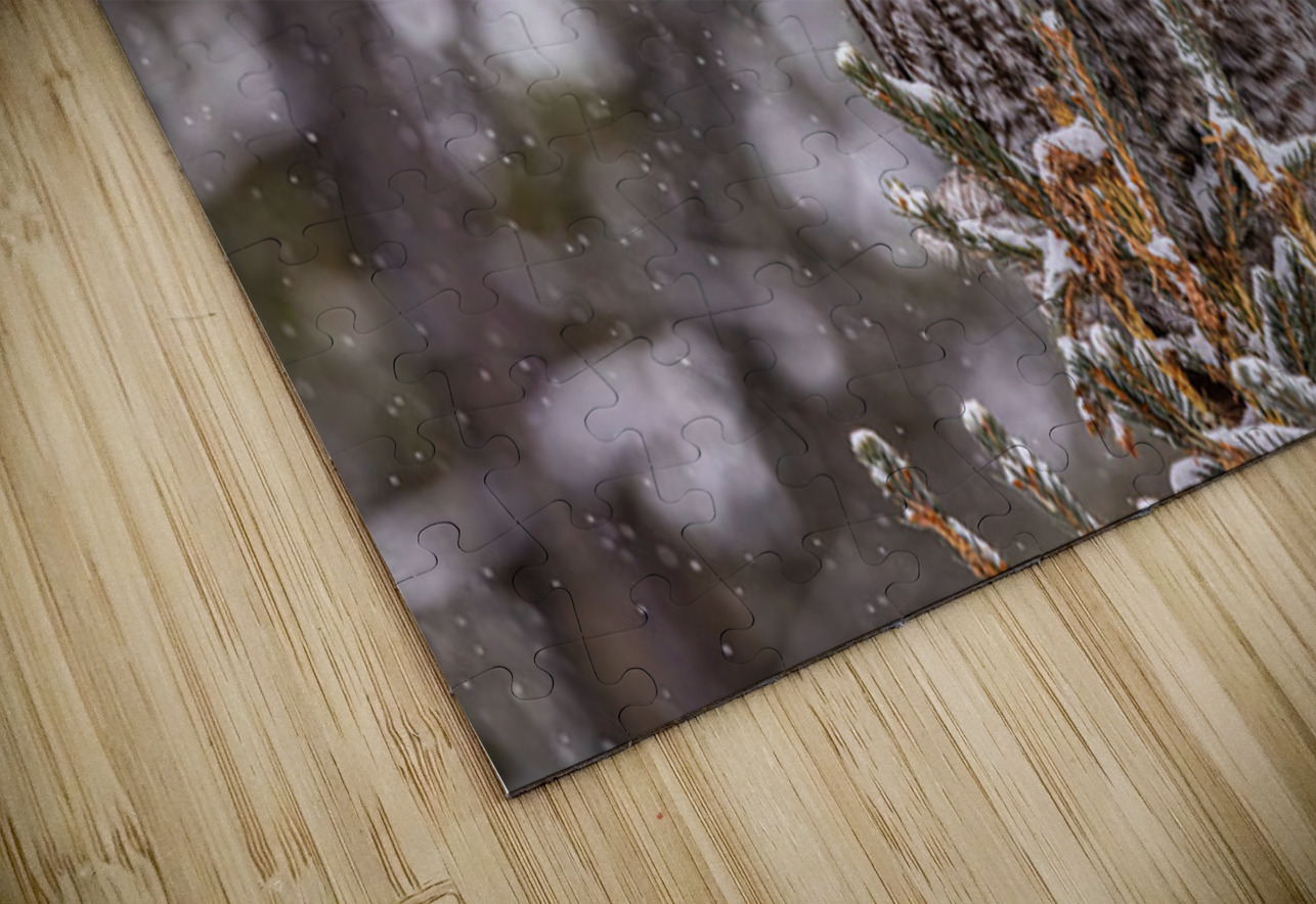 GGO 19 Ilana Vargulich Puzzle