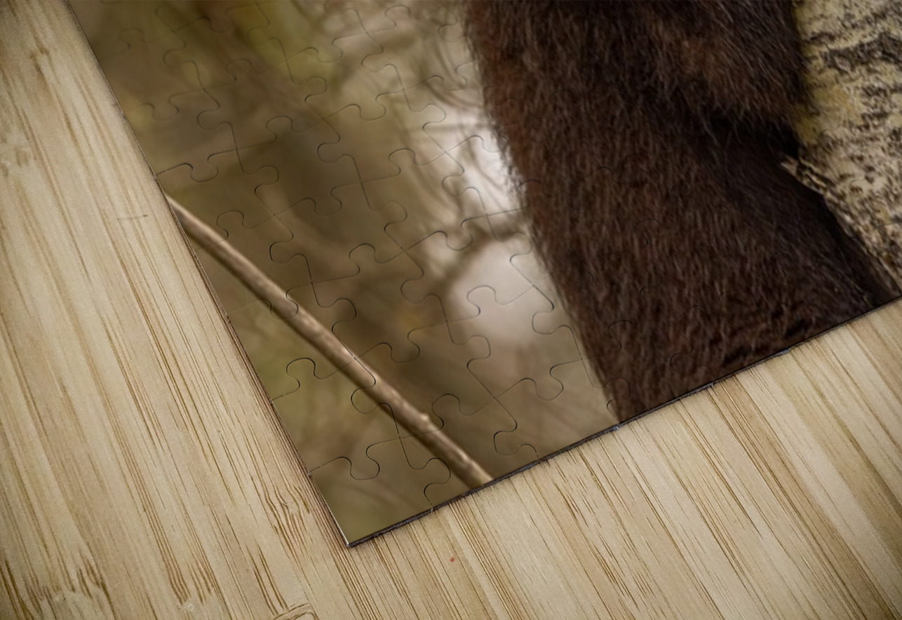 Cute Bear Cub Ilana Vargulich Puzzle