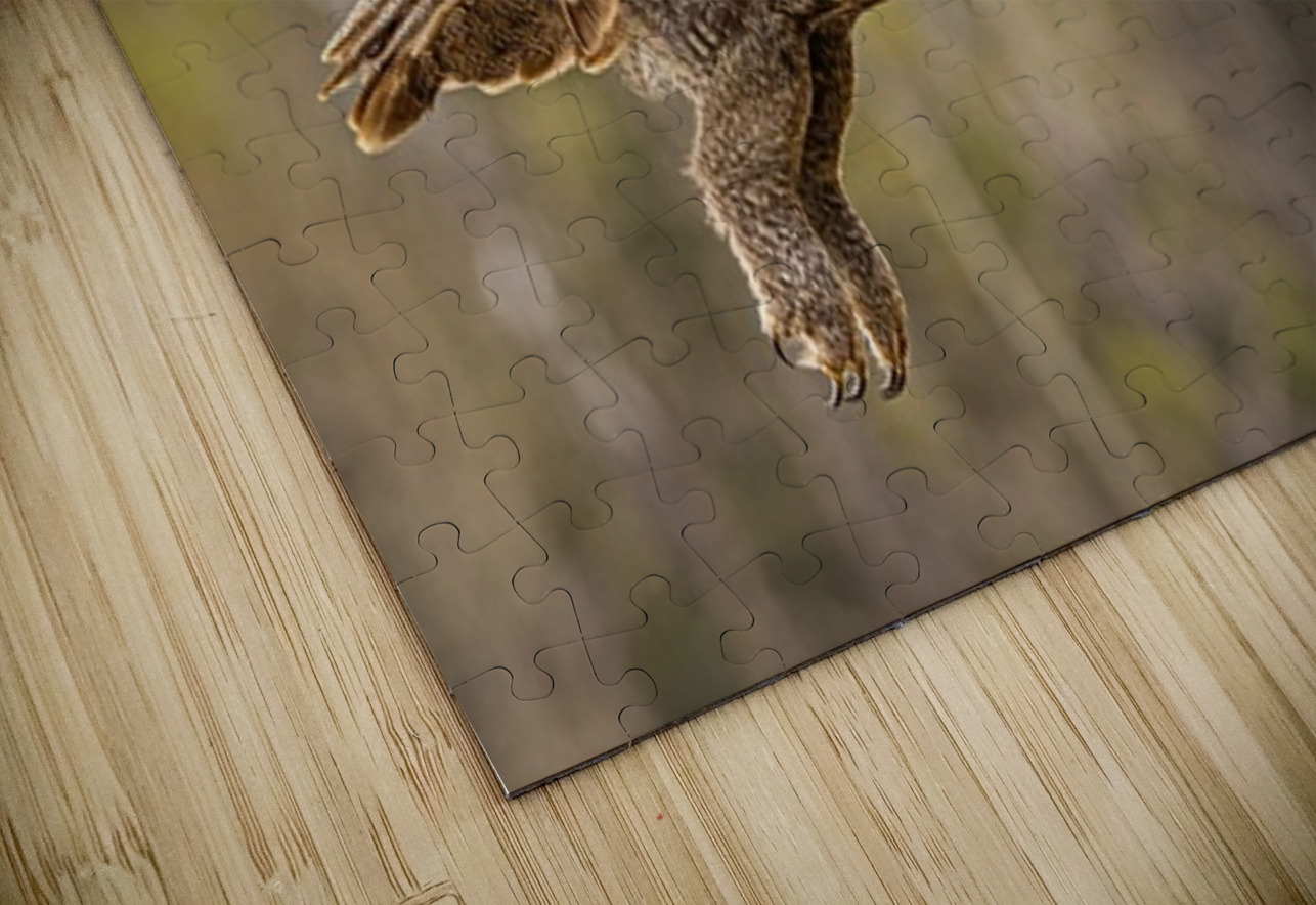 GGO 20 Ilana Vargulich Puzzle