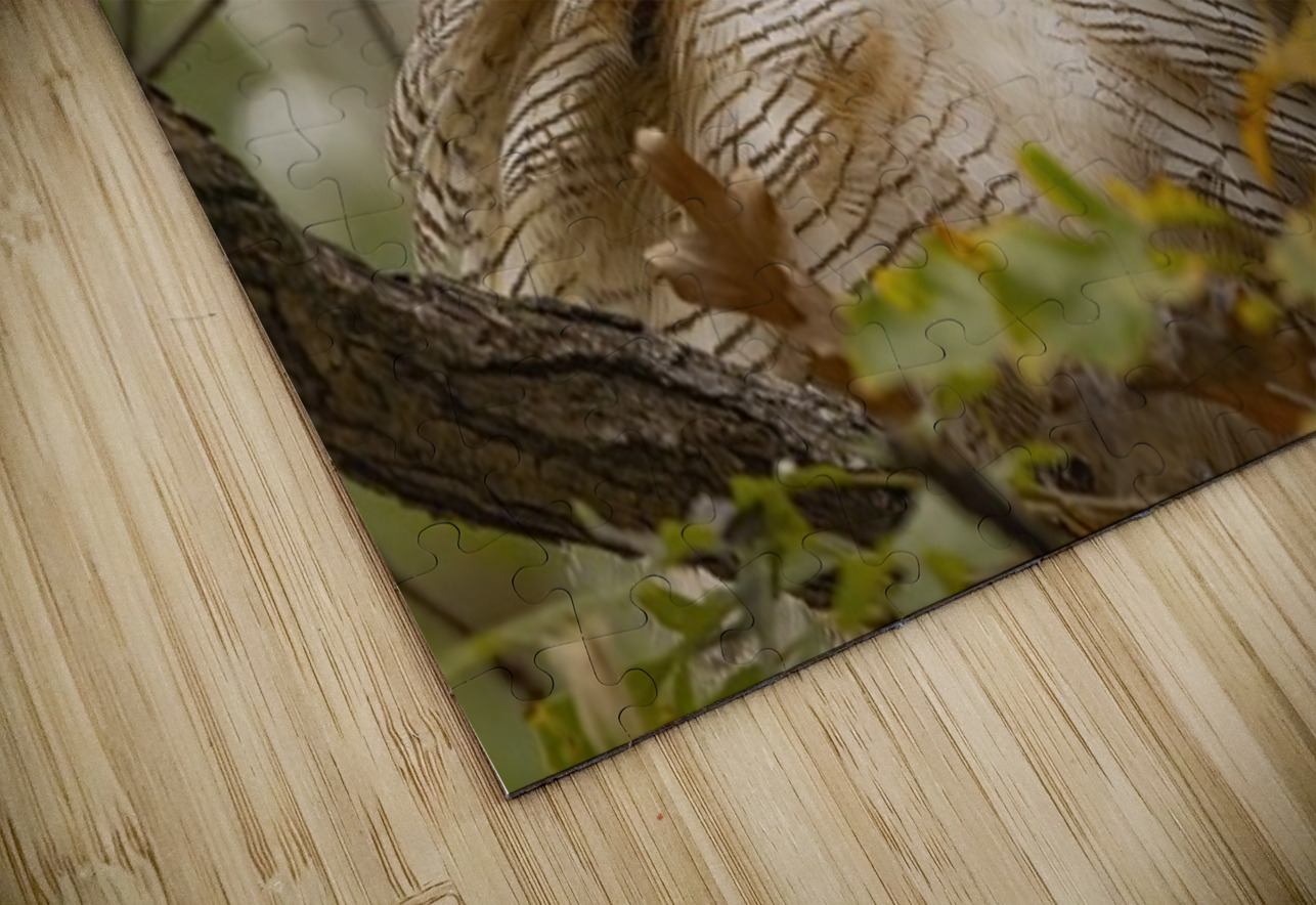 GHO Fall Time Ilana Vargulich Puzzle