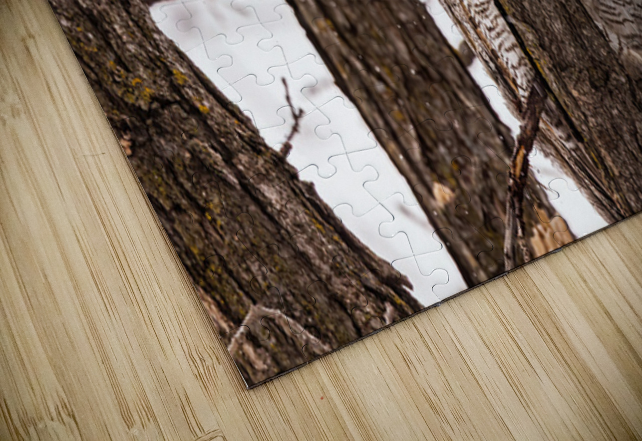 GHO 2 Ilana Vargulich Puzzle