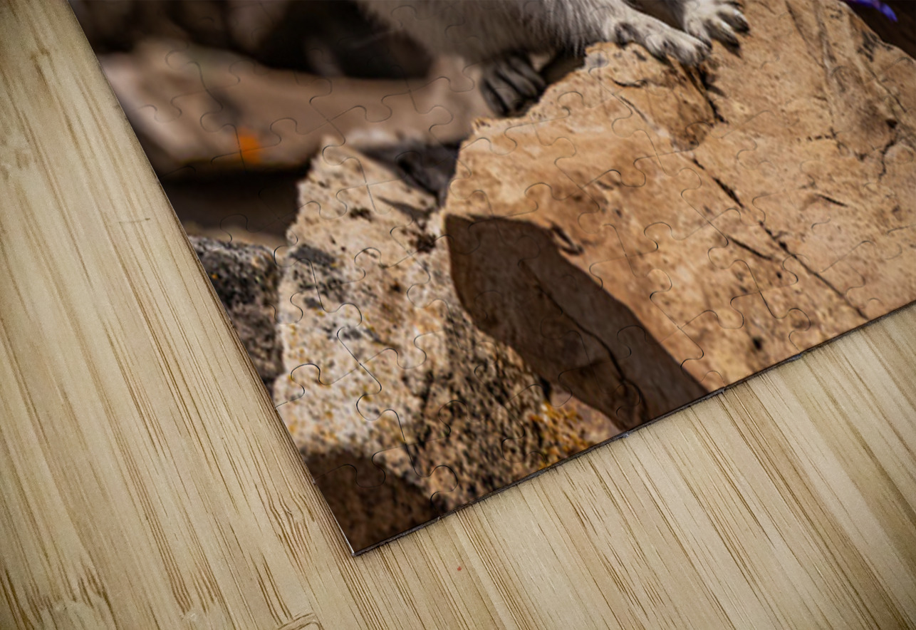 Cute Pika Ilana Vargulich Puzzle