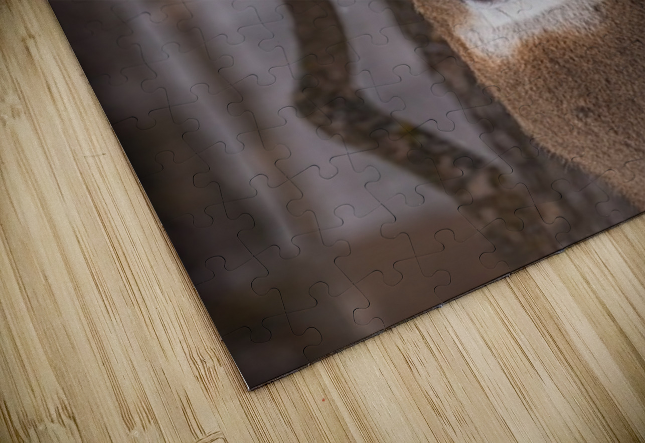 Buck Portrait Ilana Vargulich Puzzle