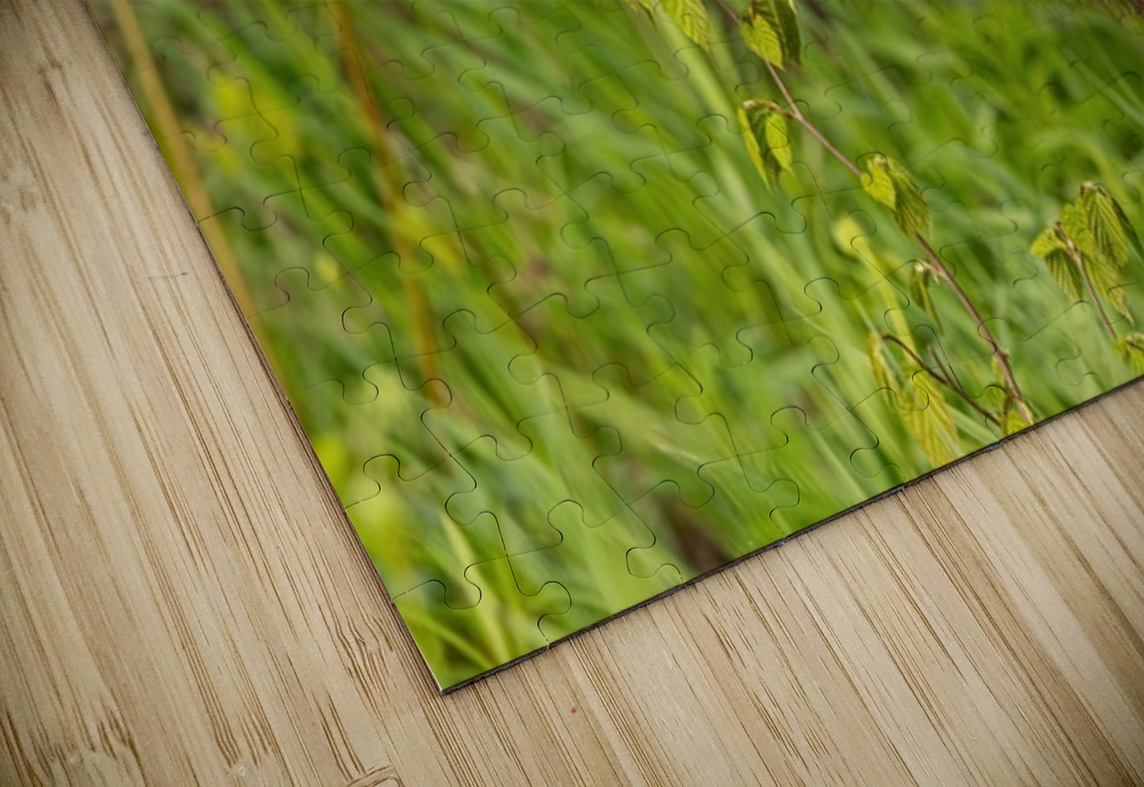 Cool Face Ilana Vargulich Puzzle