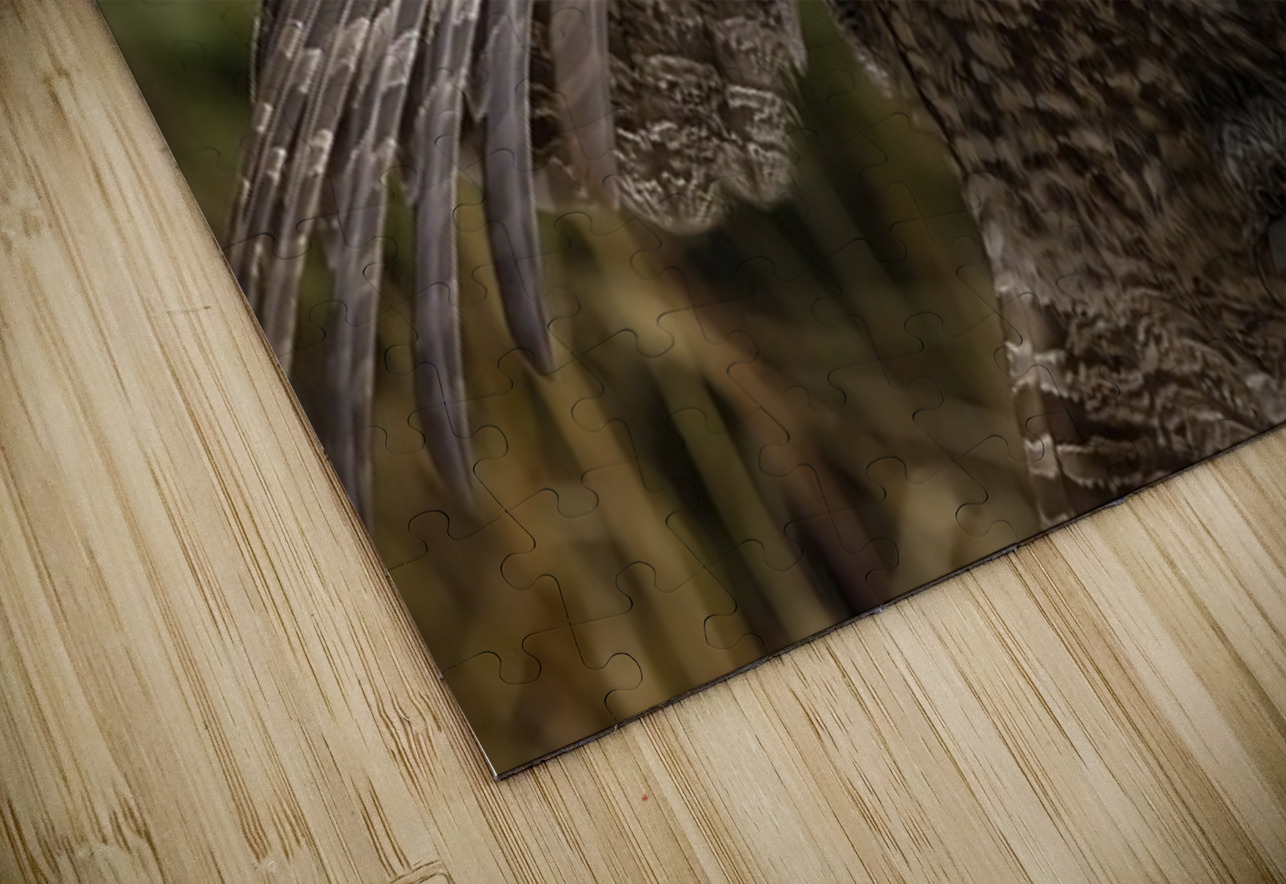 GGO 22 Ilana Vargulich Puzzle