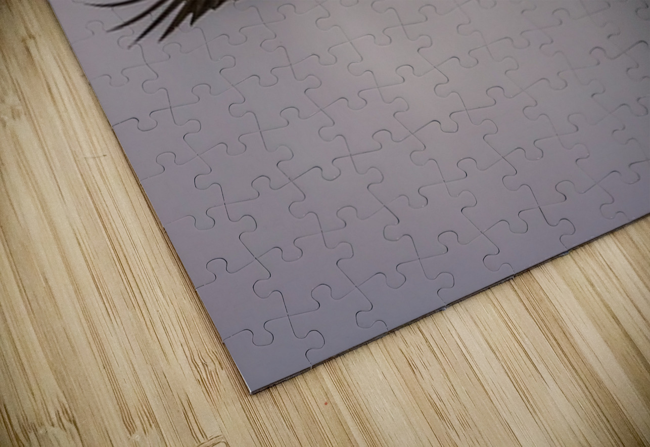 Bald Eagle 2 Ilana Vargulich Puzzle