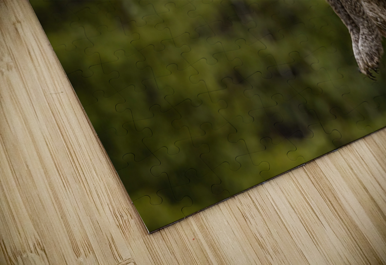 GGO 23 Ilana Vargulich Puzzle