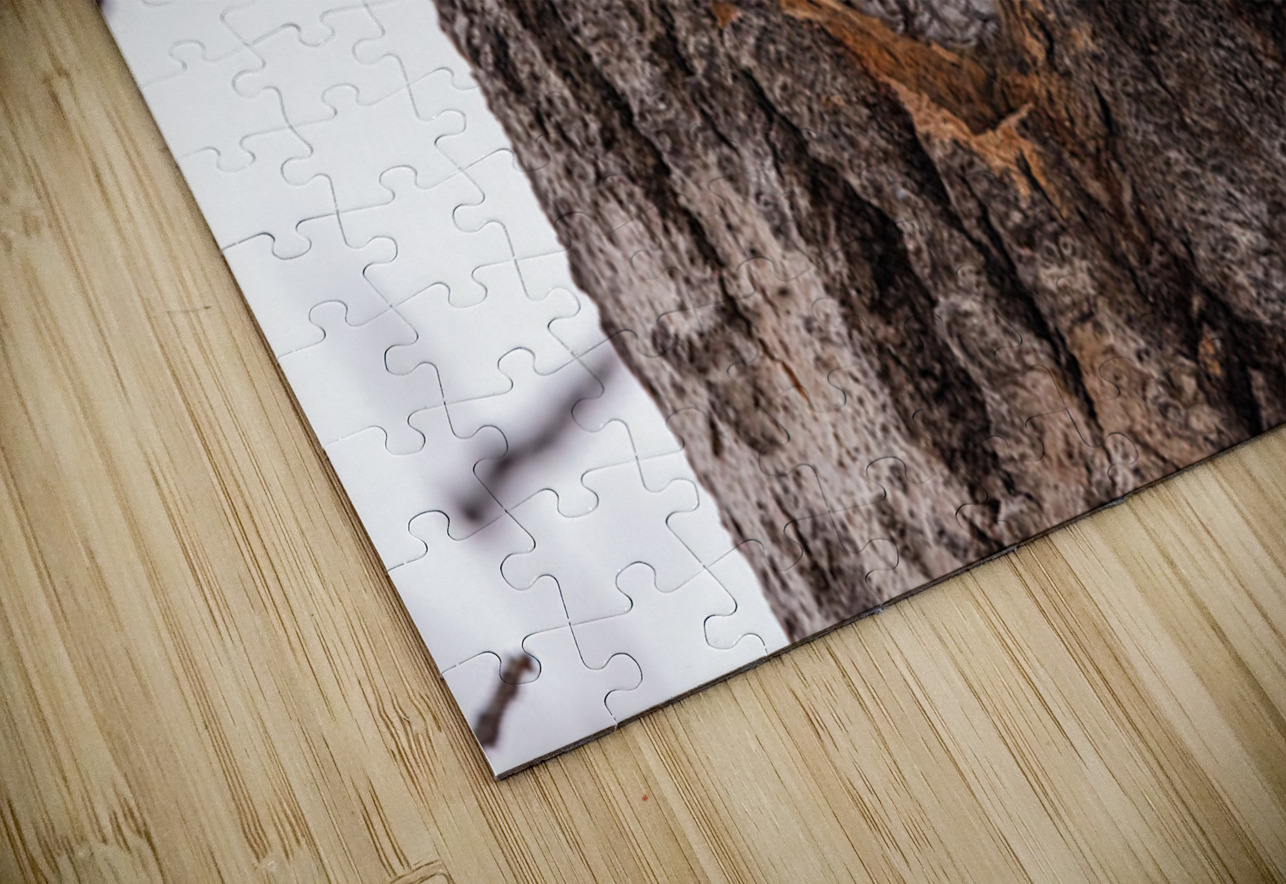 Screech Owl Ilana Vargulich Puzzle