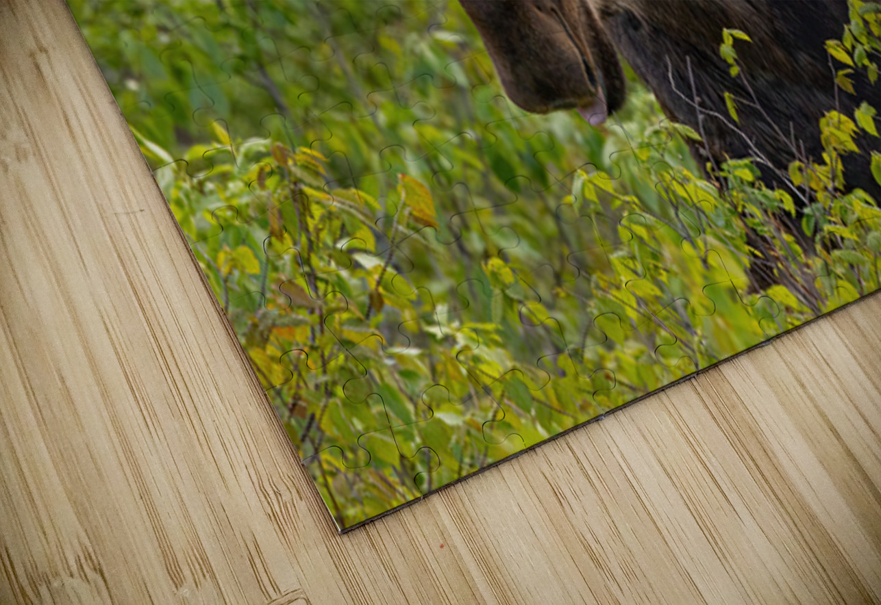 Big Boy Ilana Vargulich Puzzle