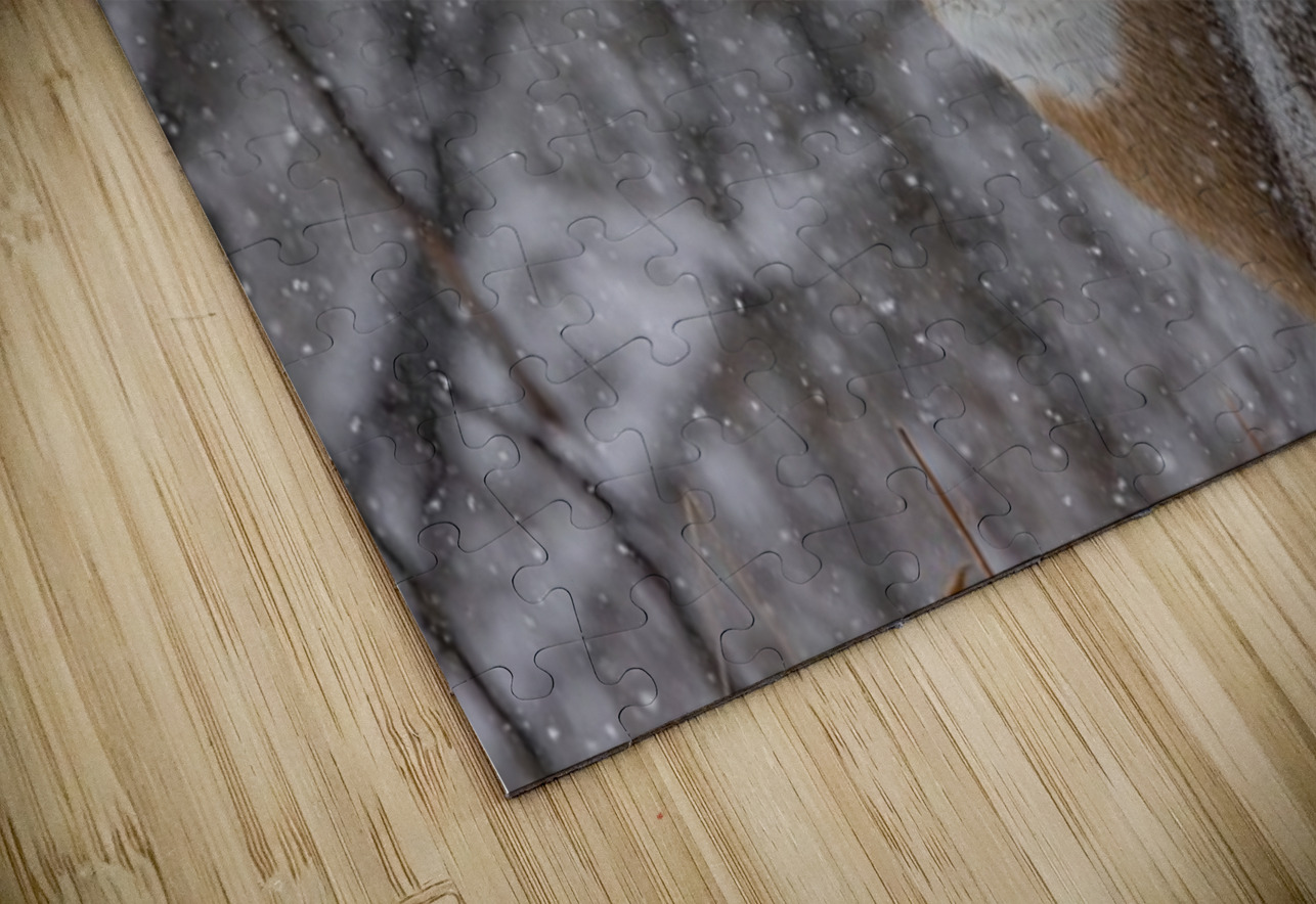 Deer Winter Love Ilana Vargulich Puzzle