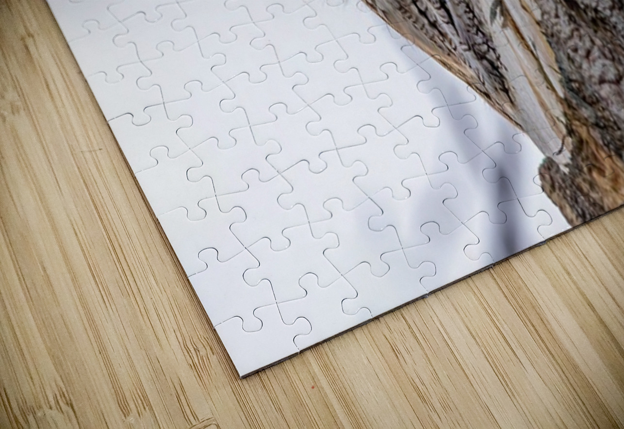 Screech 3 Ilana Vargulich Puzzle