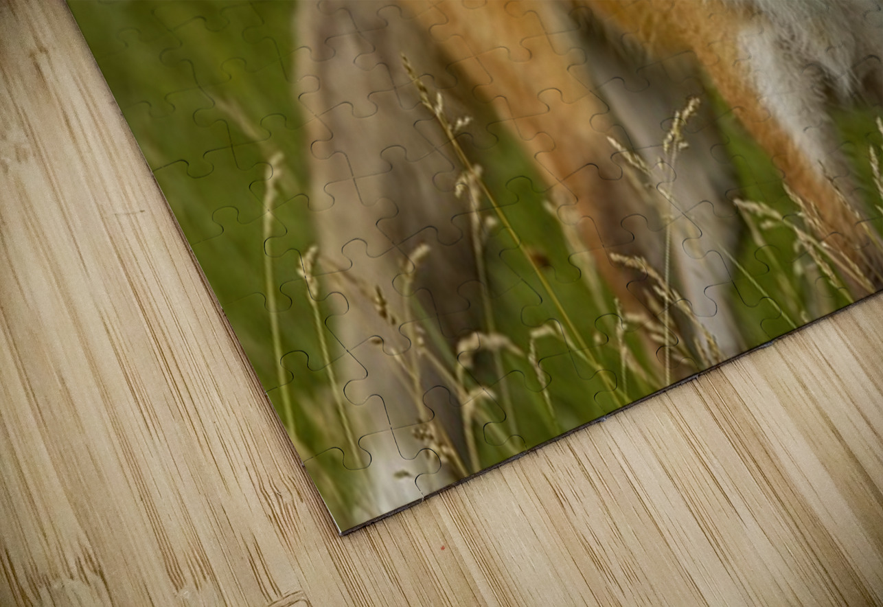 Red Fox Ilana Vargulich Puzzle