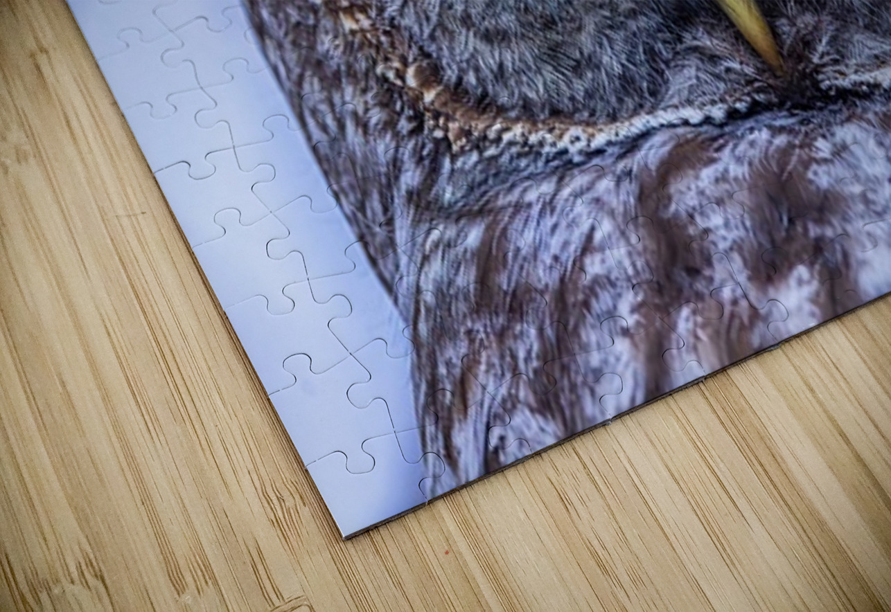 GGO 24 Ilana Vargulich Puzzle