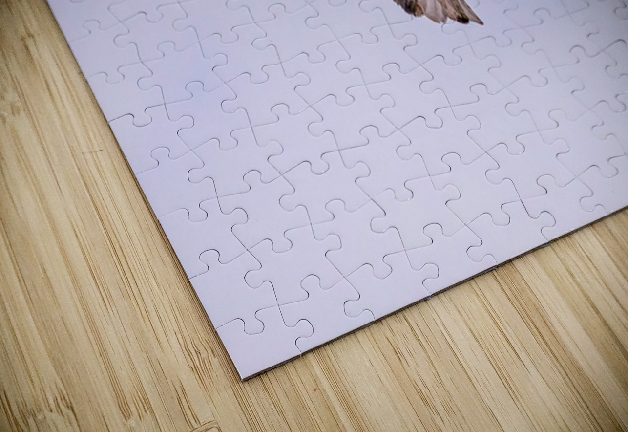 Bald Eagle 3 Ilana Vargulich Puzzle