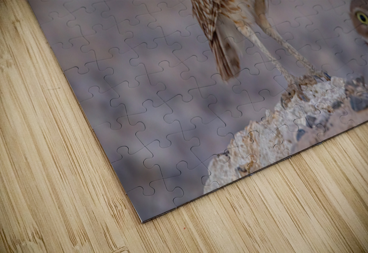 Burrowing Owl Ilana Vargulich Puzzle