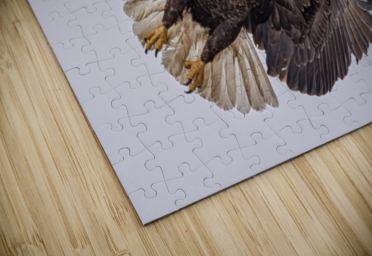 Bald Eagle 4 Ilana Vargulich Puzzle
