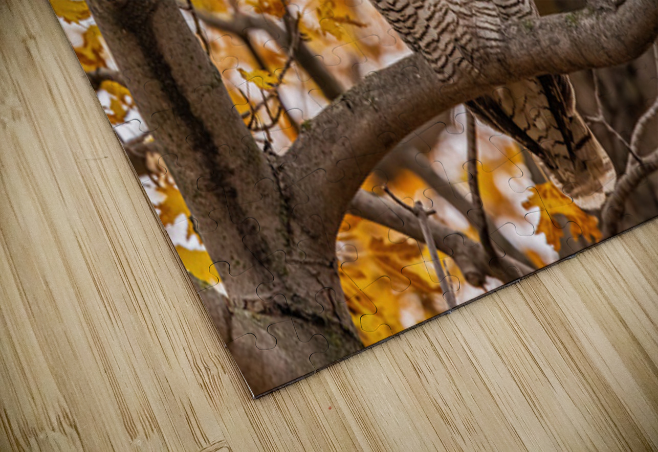 GHO 3 Ilana Vargulich Puzzle