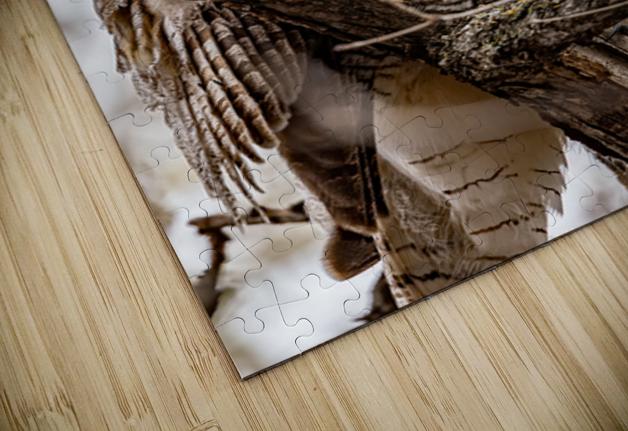 GHO 4 Ilana Vargulich Puzzle