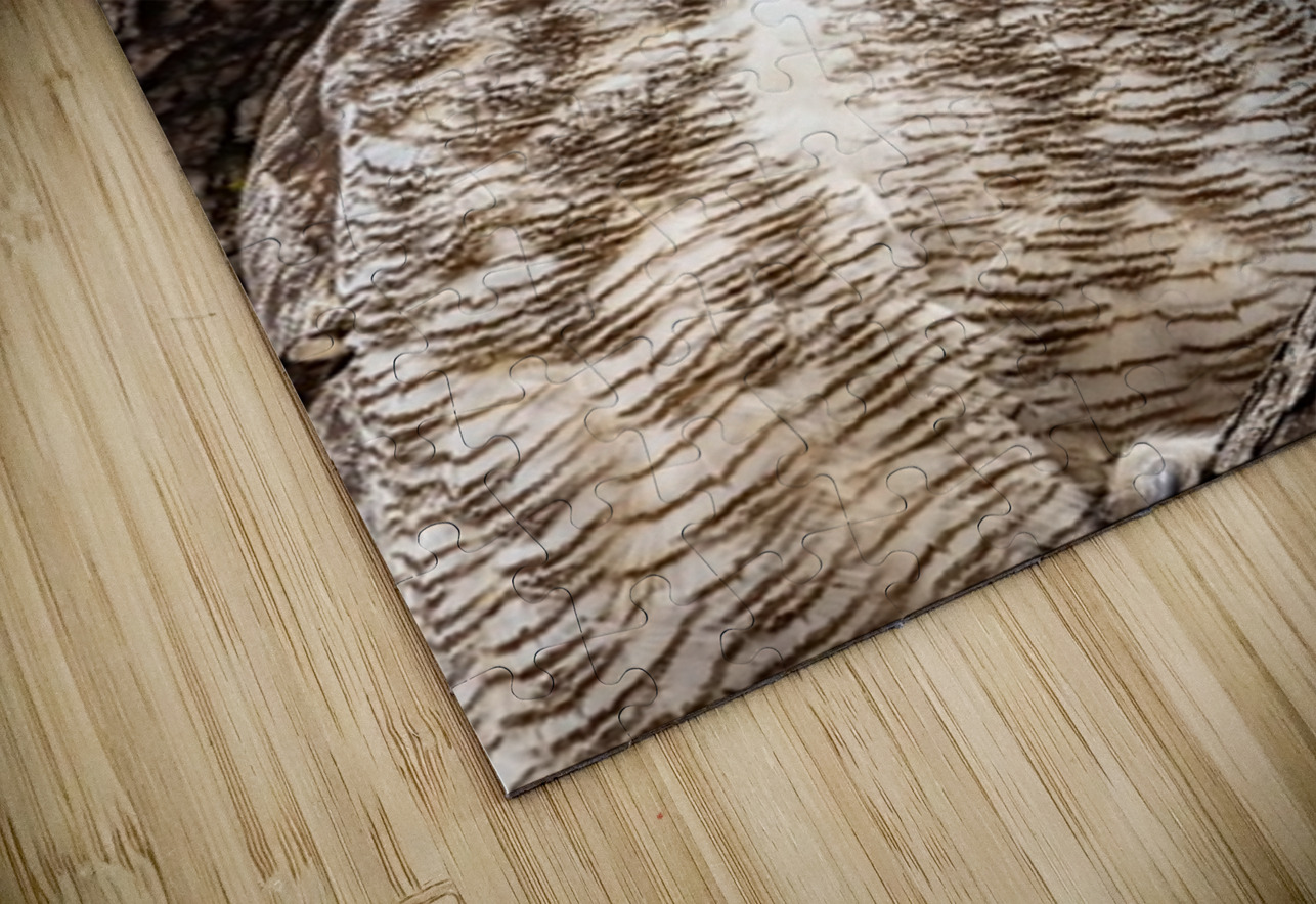 GHO Double Ilana Vargulich Puzzle