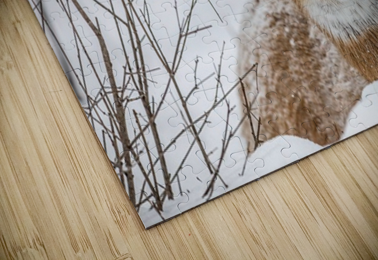 Buck under the Snow Ilana Vargulich Puzzle