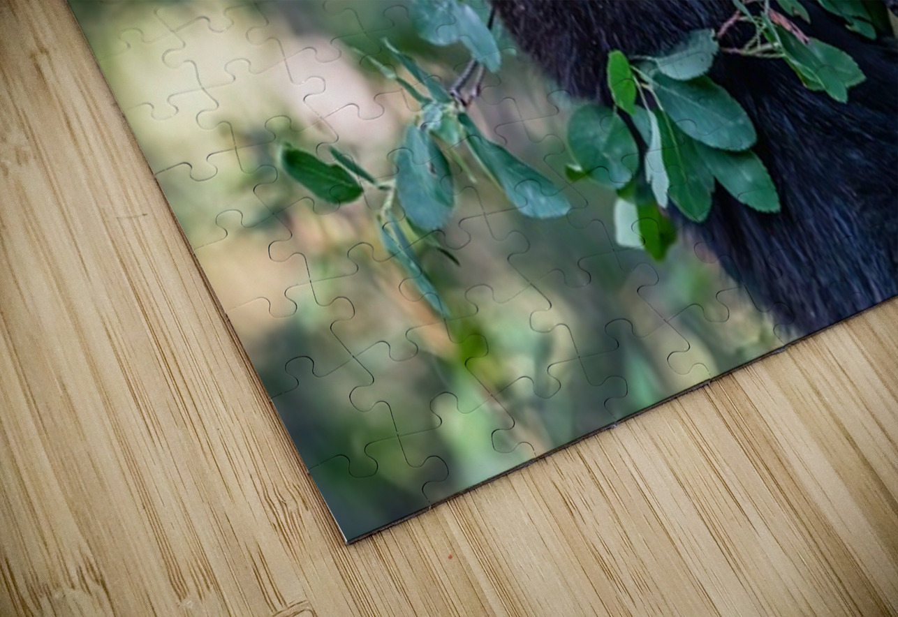 Black Bear Cub 5 Ilana Vargulich Puzzle