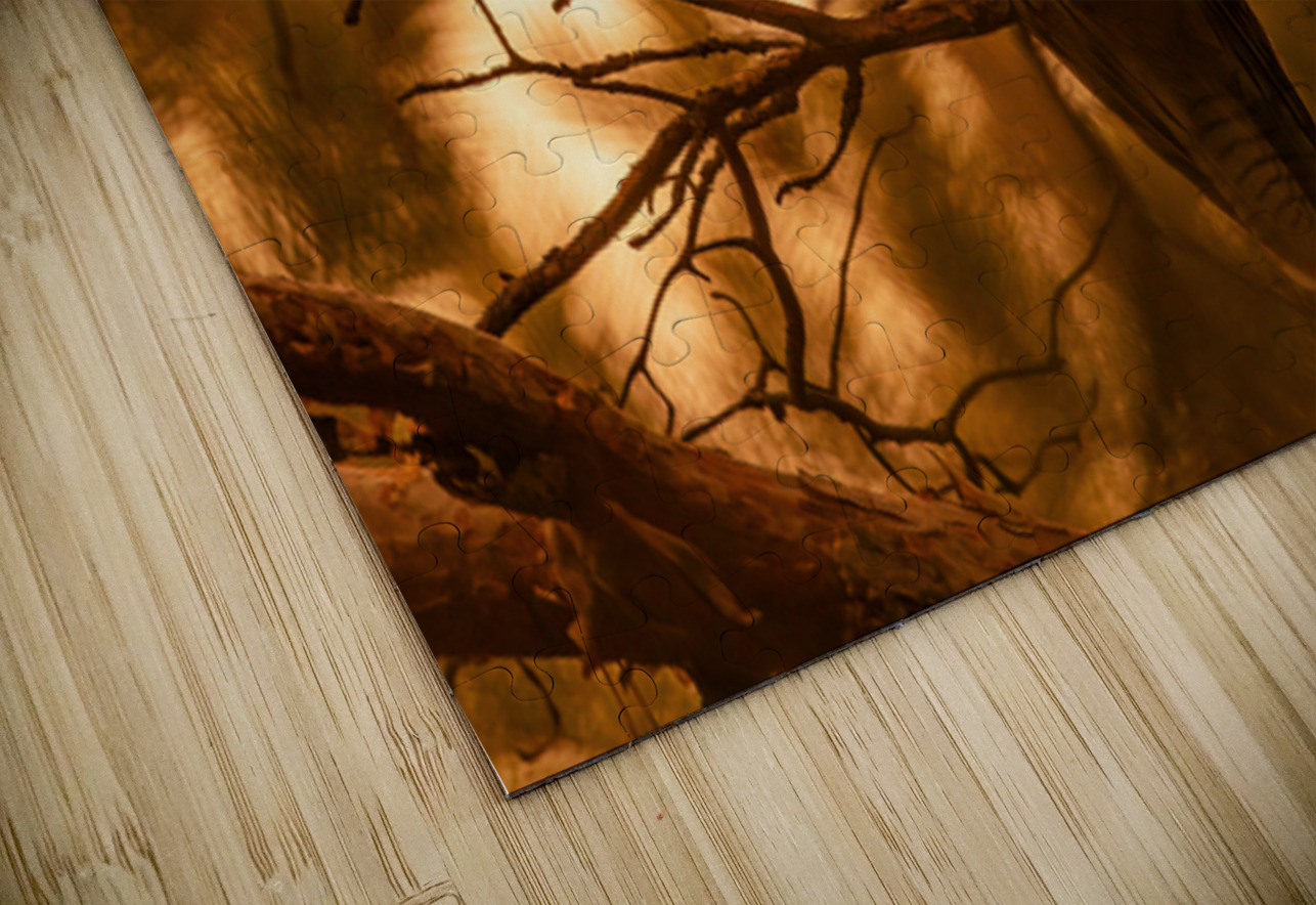 LEO Sunset Ilana Vargulich Puzzle